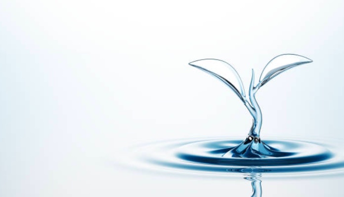 image artistique : rond dans l'eau et goutte d'eau en forme de feuille bourgeonnantes d'une plante. Couleurs bleutées dominantes